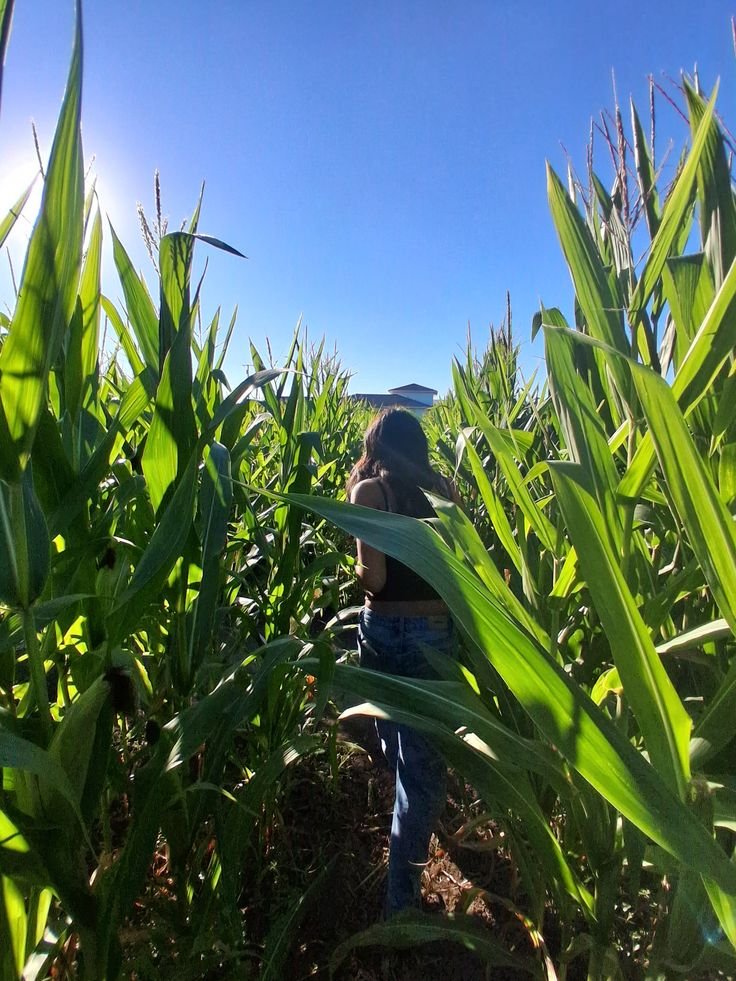 Veritalis Agro